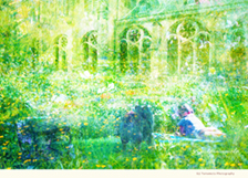 Eiji Yamamoto Photography