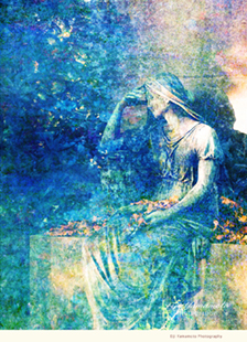 Eiji Yamamoto Photography