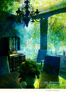 Eiji Yamamoto Photography