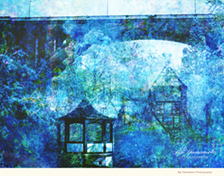 Eiji Yamamoto Photography