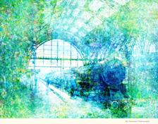 Eiji Yamamoto Photography