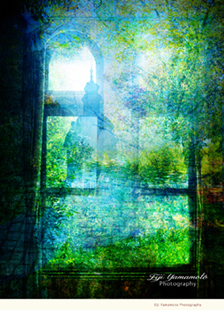 Eiji Yamamoto Photography