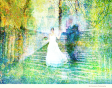 Eiji Yamamoto Photography