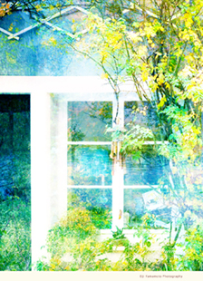 Eiji Yamamoto Photography