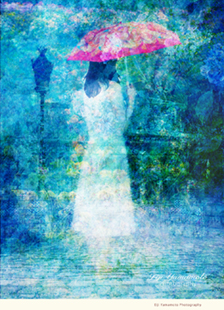 Eiji Yamamoto Photography