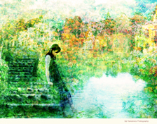 Eiji Yamamoto Photography