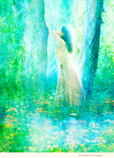 Eiji Yamamoto Photography