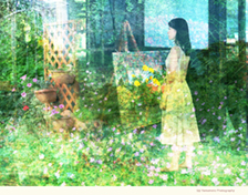 Eiji Yamamoto Photography