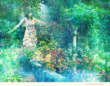 Eiji Yamamoto Photography