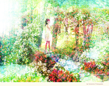 Eiji Yamamoto Photography