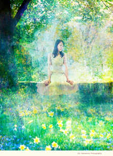 Eiji Yamamoto Photography