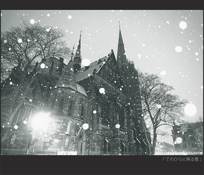 写真展「街」と「花」