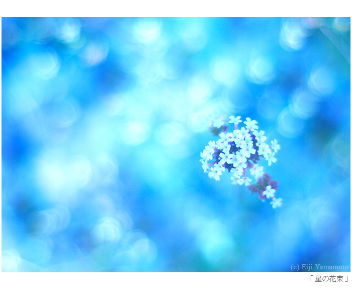 写真展「街」と「花」
