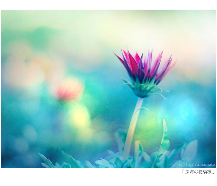 写真展「街」と「花」