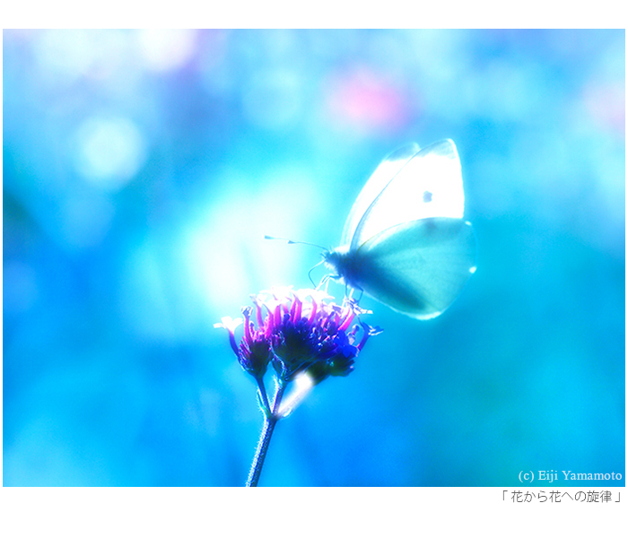 写真展「街」と「花」