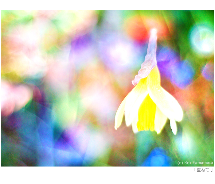 写真展「街」と「花」