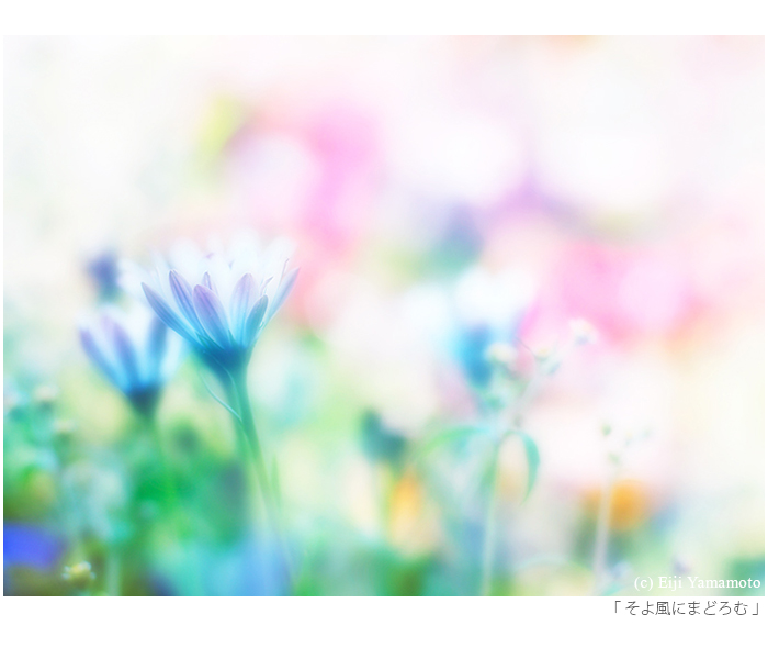 写真展「街」と「花」