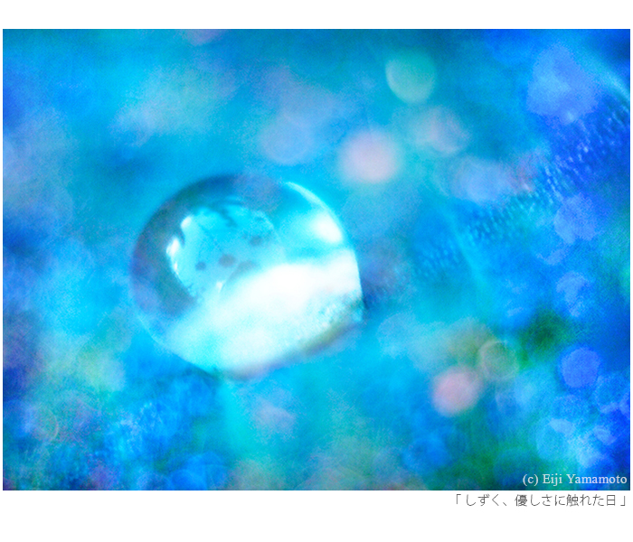 写真展「街」と「花」