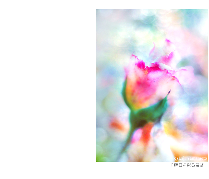 写真展「街」と「花」