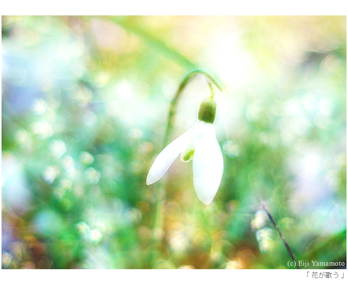 写真展「街」と「花」