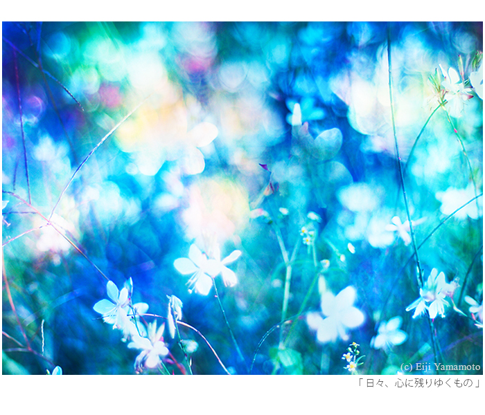 写真展「街」と「花」