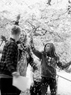 満開の桜と戯れる少女たち