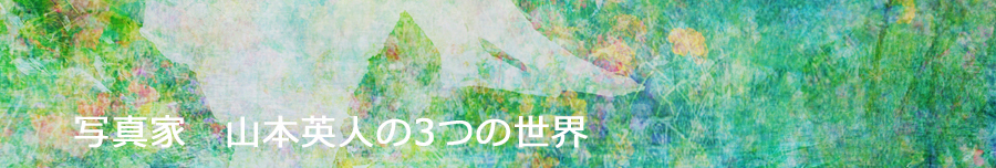 Eiji Yamamoto Photography